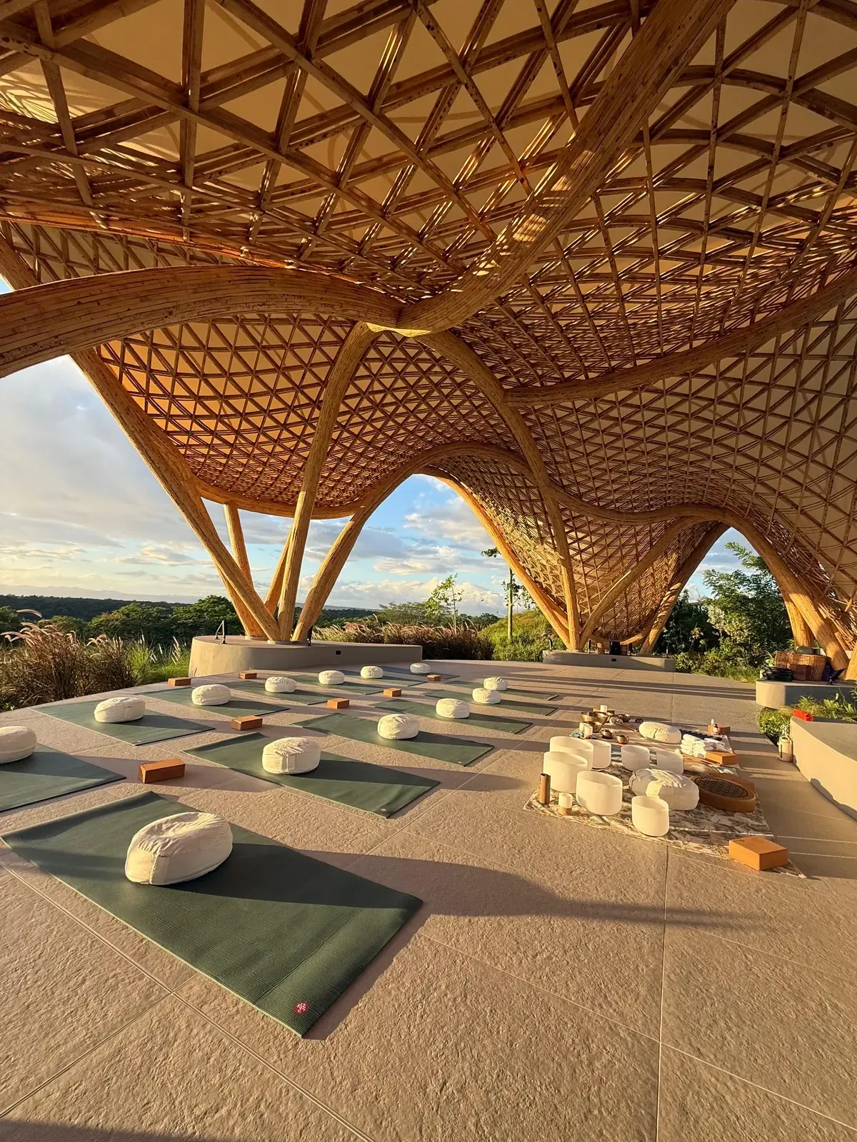 Wellness Experiences